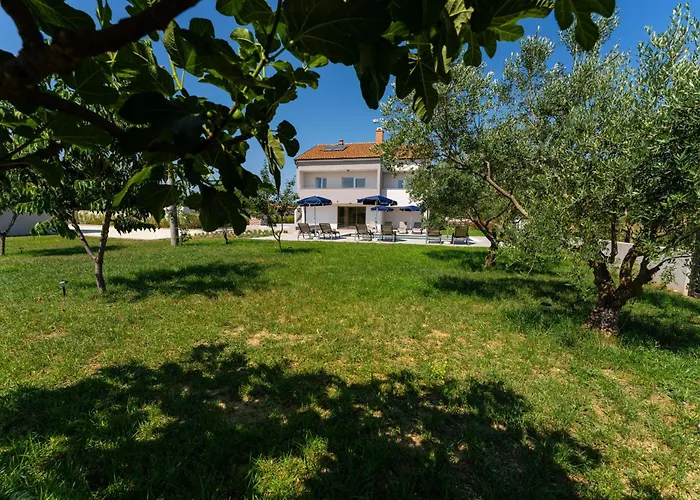 Hébergement de vacances My Dalmatia - Campi Dalmatia With Private Heated Pool And Sauna Galovac (Zadar)