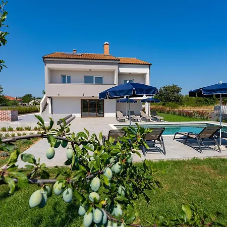My Dalmatia - Campi Dalmatia With Private Heated Pool, Sauna And Sports Court 펜션